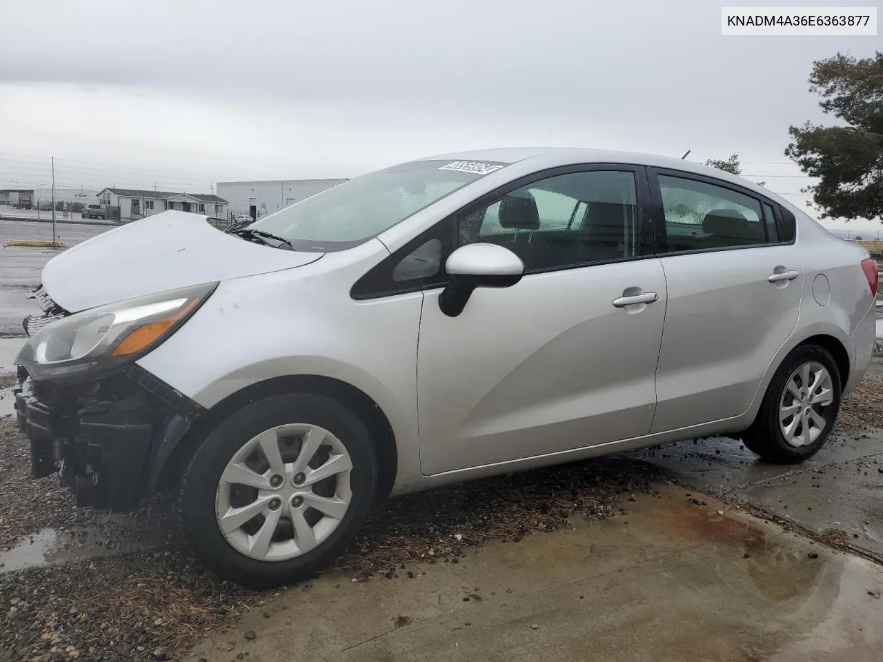 2014 Kia Rio Lx VIN: KNADM4A36E6363877 Lot: 48559954