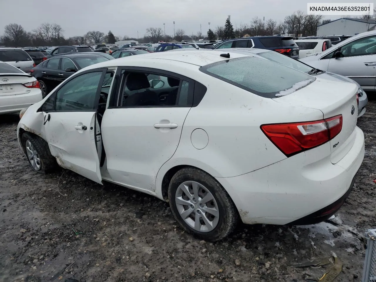 2014 Kia Rio Lx VIN: KNADM4A36E6352801 Lot: 76453234