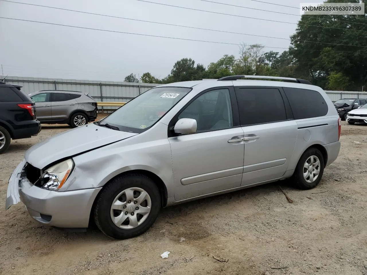 2009 Kia Sedona Ex VIN: KNDMB233X96307389 Lot: 71915474