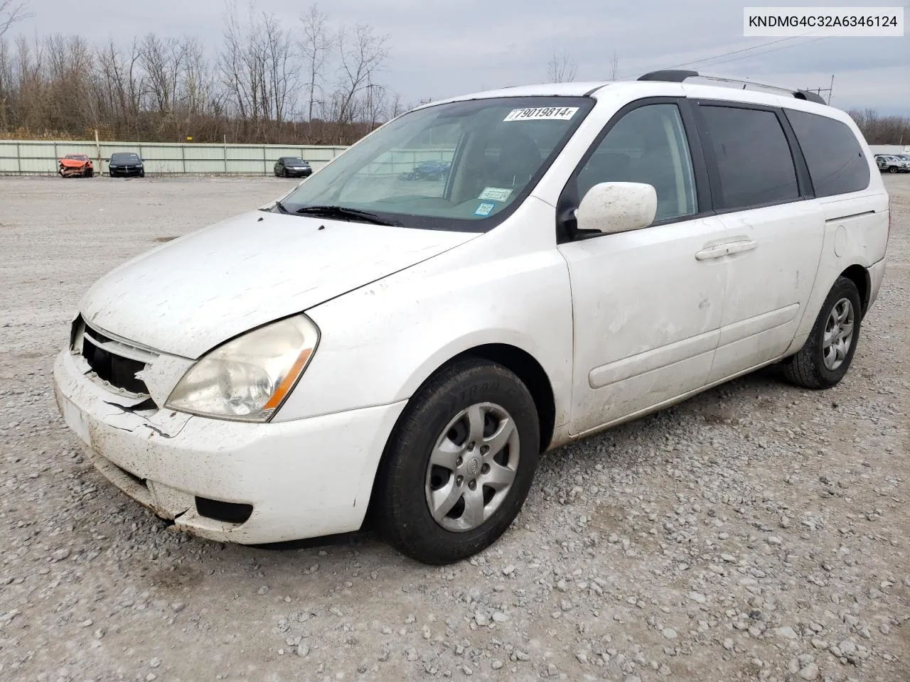 2010 Kia Sedona Lx VIN: KNDMG4C32A6346124 Lot: 79019814