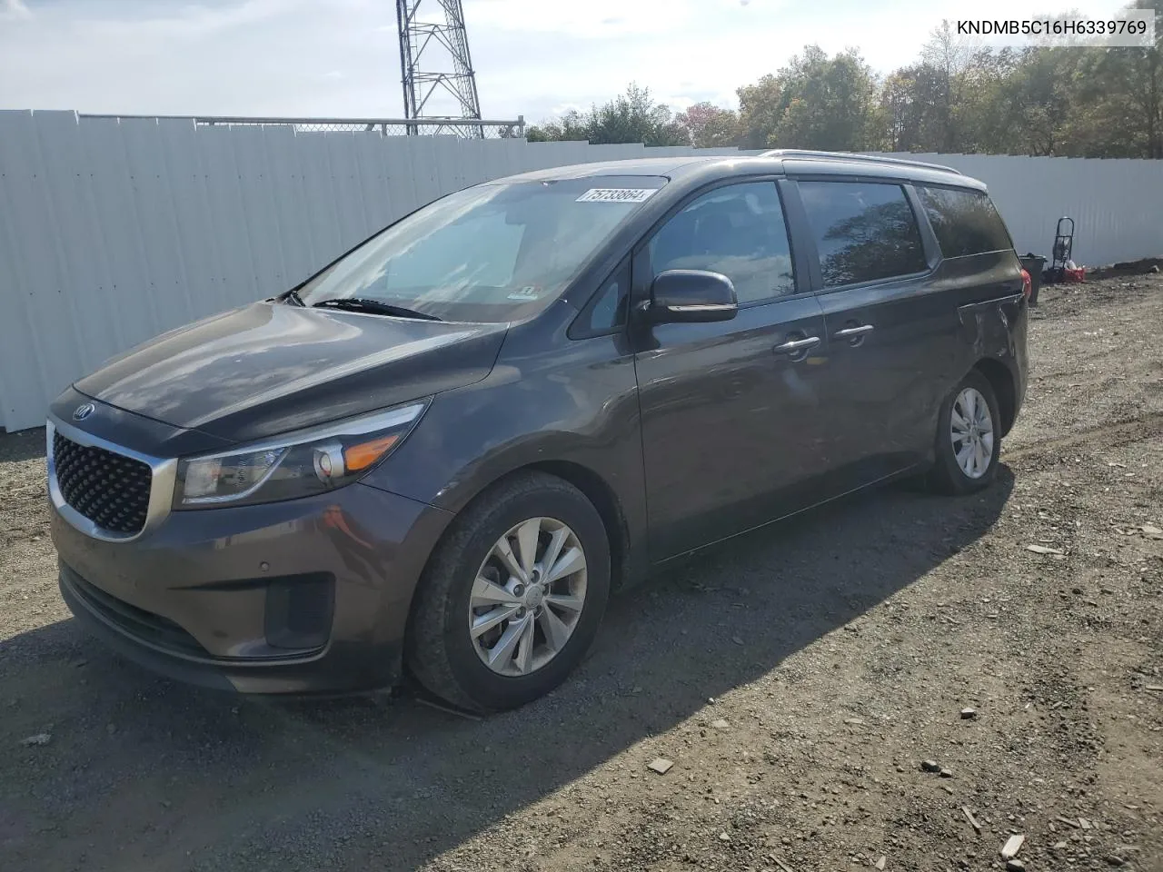 2017 Kia Sedona Lx VIN: KNDMB5C16H6339769 Lot: 75733864