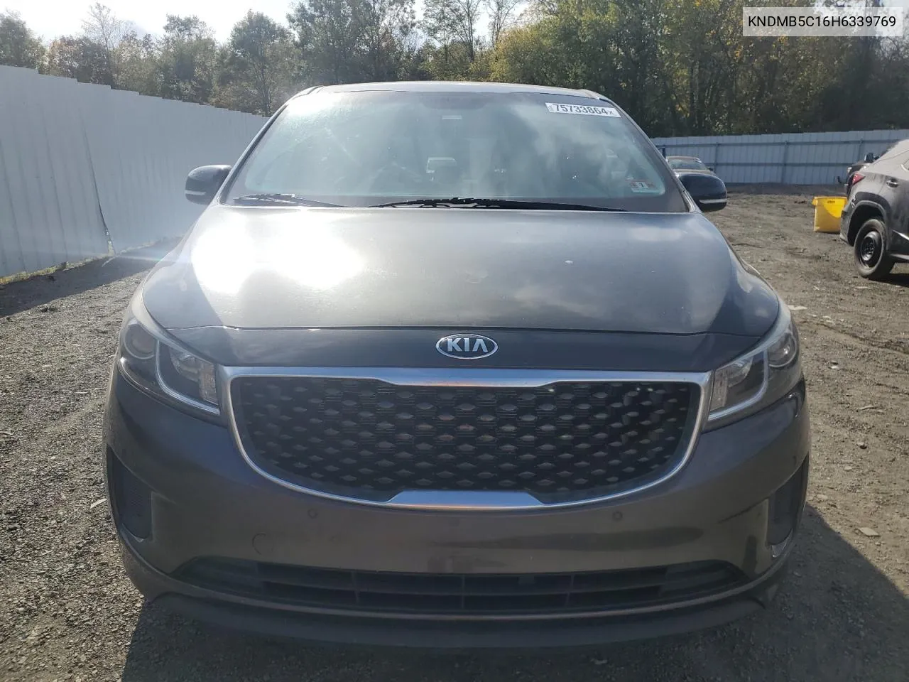 2017 Kia Sedona Lx VIN: KNDMB5C16H6339769 Lot: 75733864