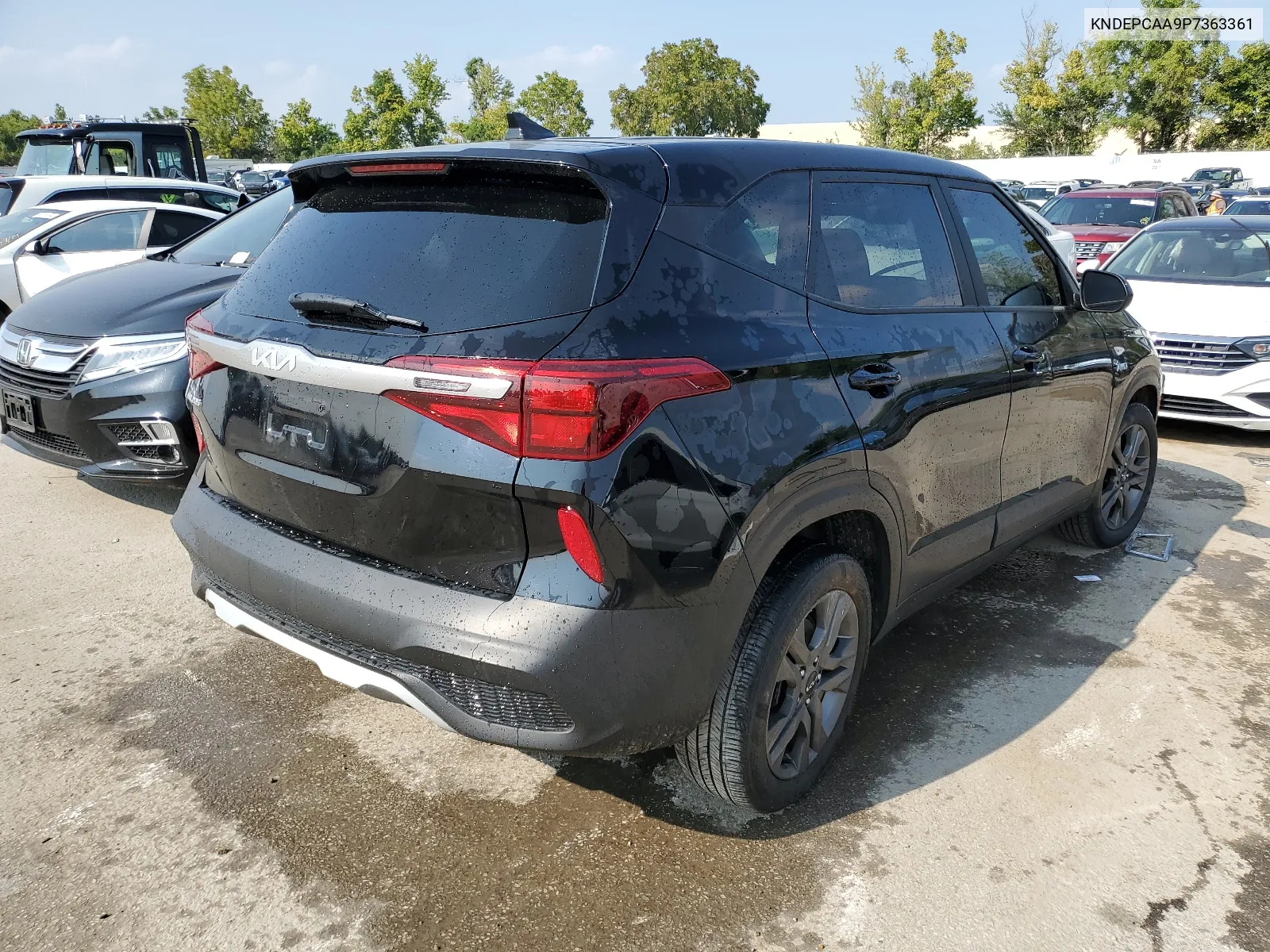 2023 Kia Seltos Lx VIN: KNDEPCAA9P7363361 Lot: 67088924