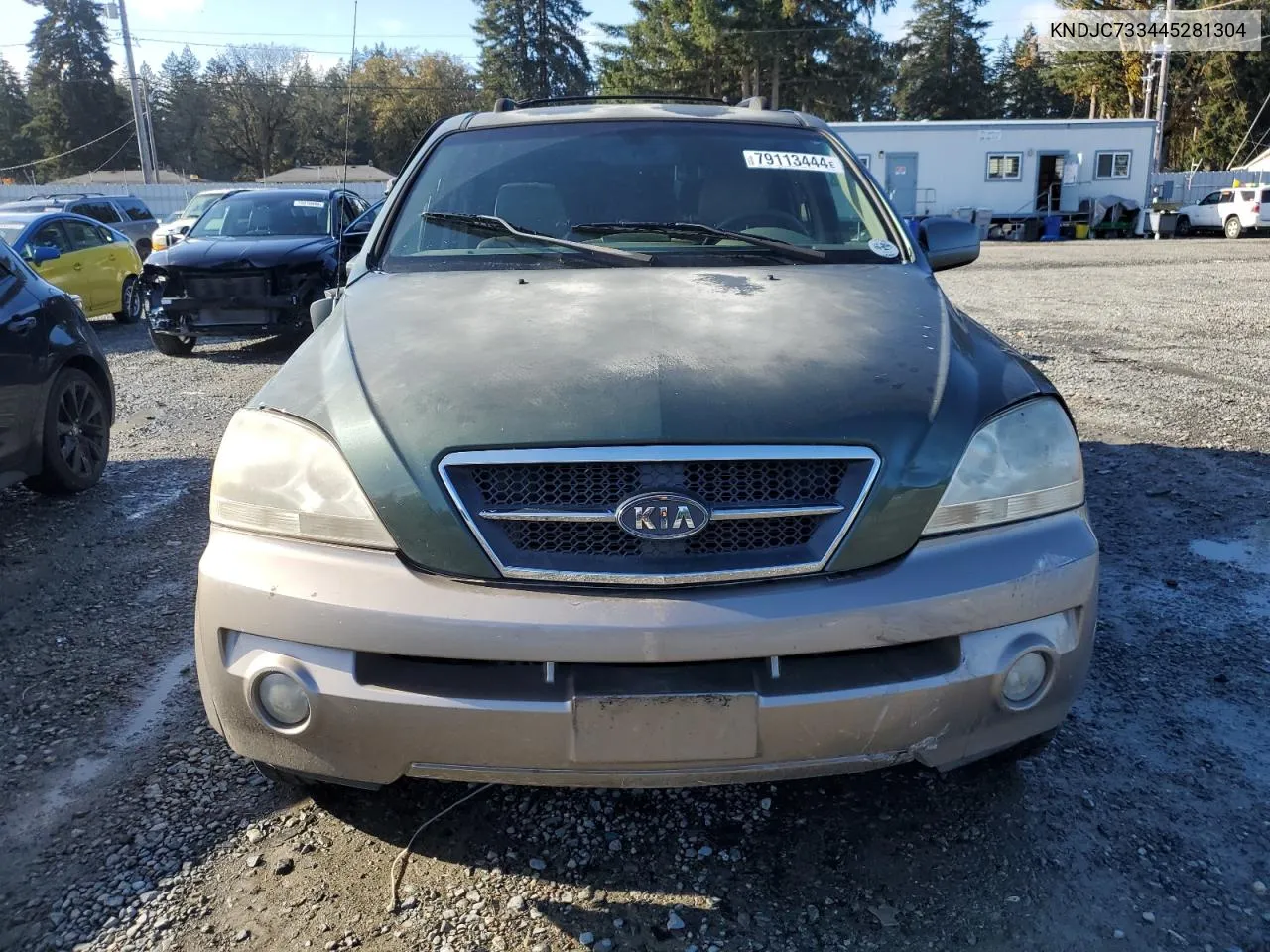 2004 Kia Sorento Ex VIN: KNDJC733445281304 Lot: 79113444