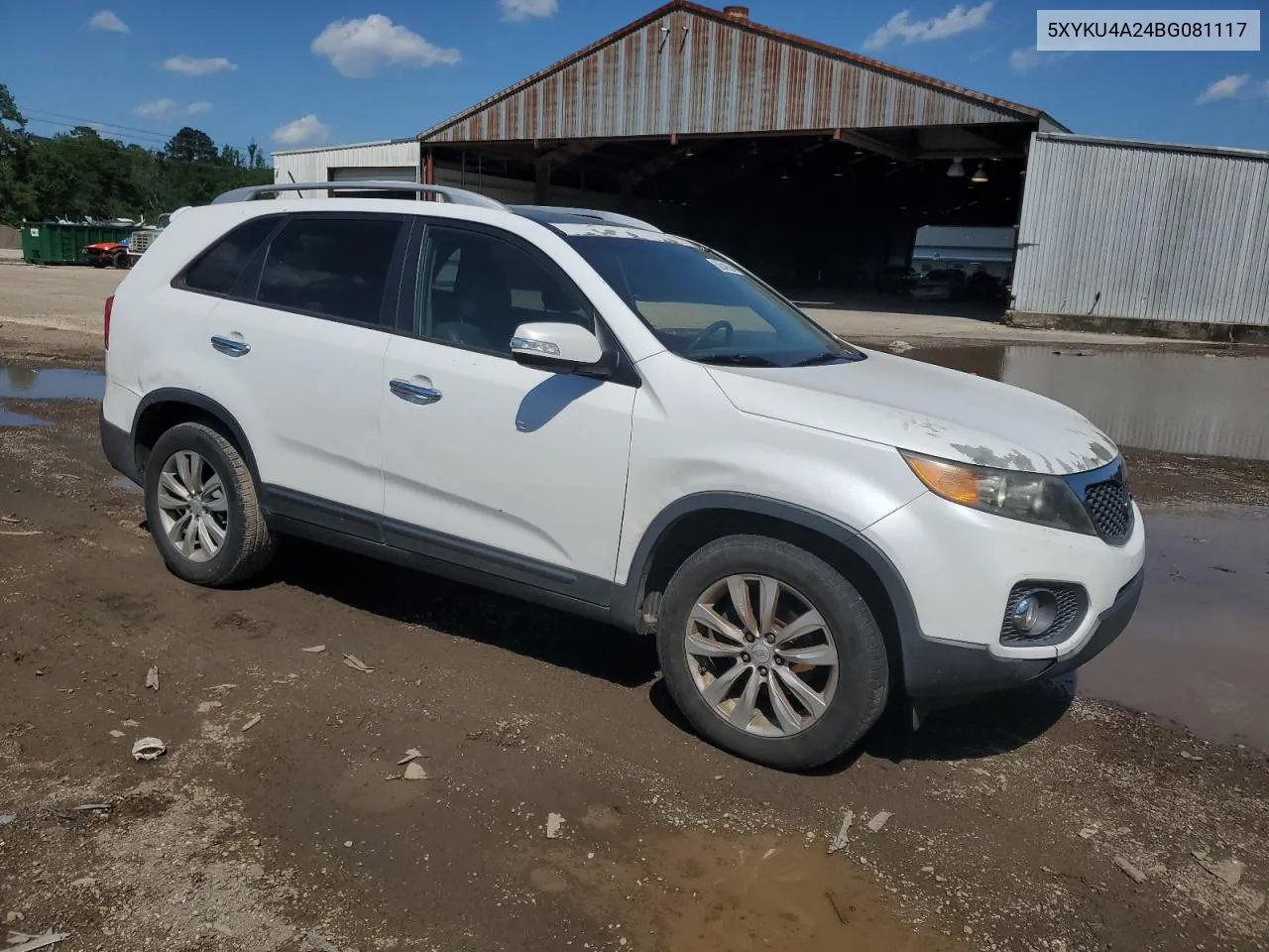 2011 Kia Sorento Ex VIN: 5XYKU4A24BG081117 Lot: 50548584