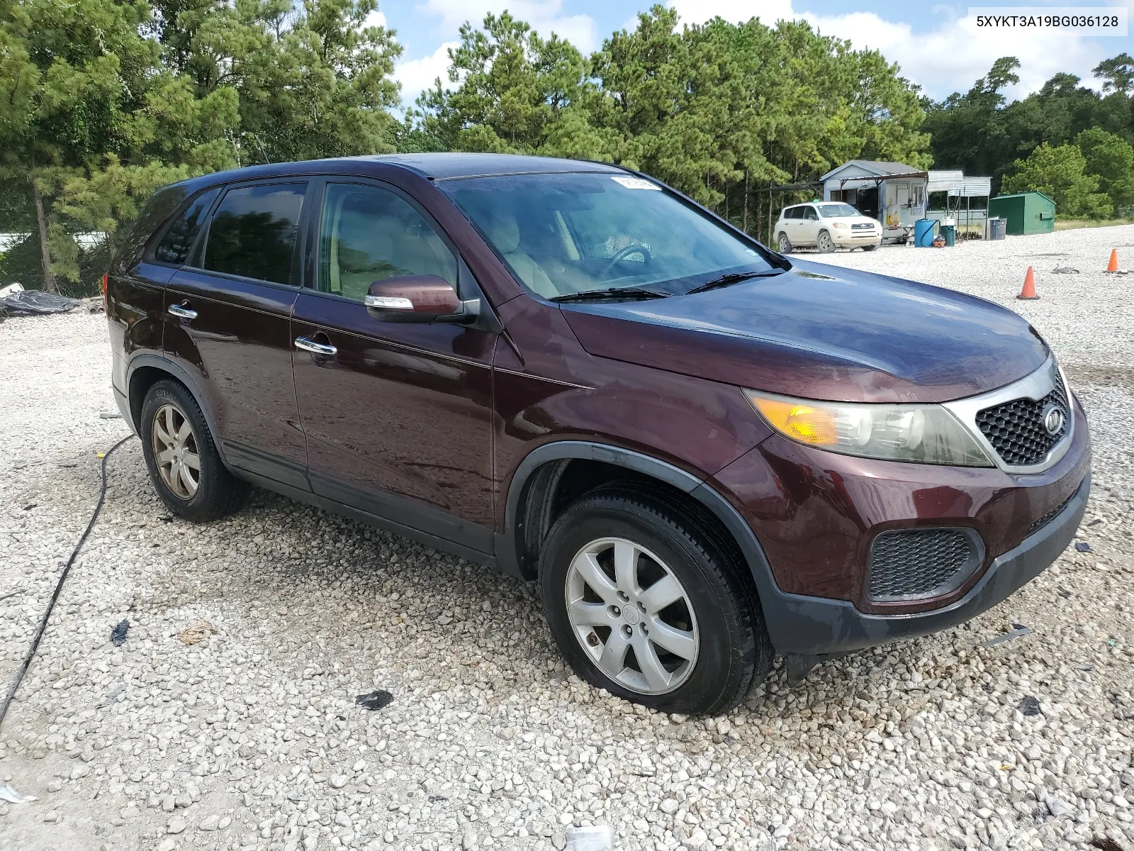 2011 Kia Sorento Base VIN: 5XYKT3A19BG036128 Lot: 59123094