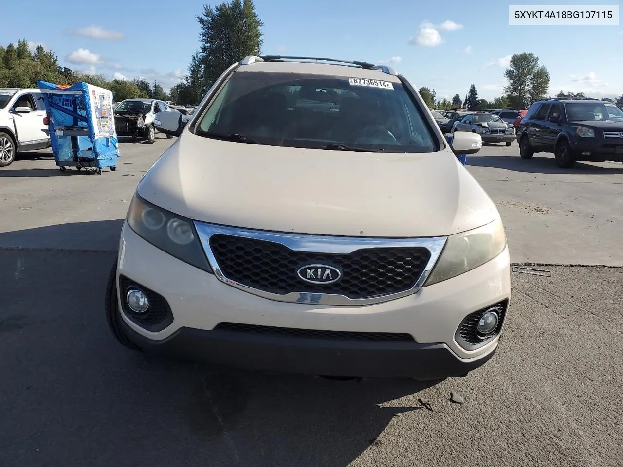 2011 Kia Sorento Base VIN: 5XYKT4A18BG107115 Lot: 67736514