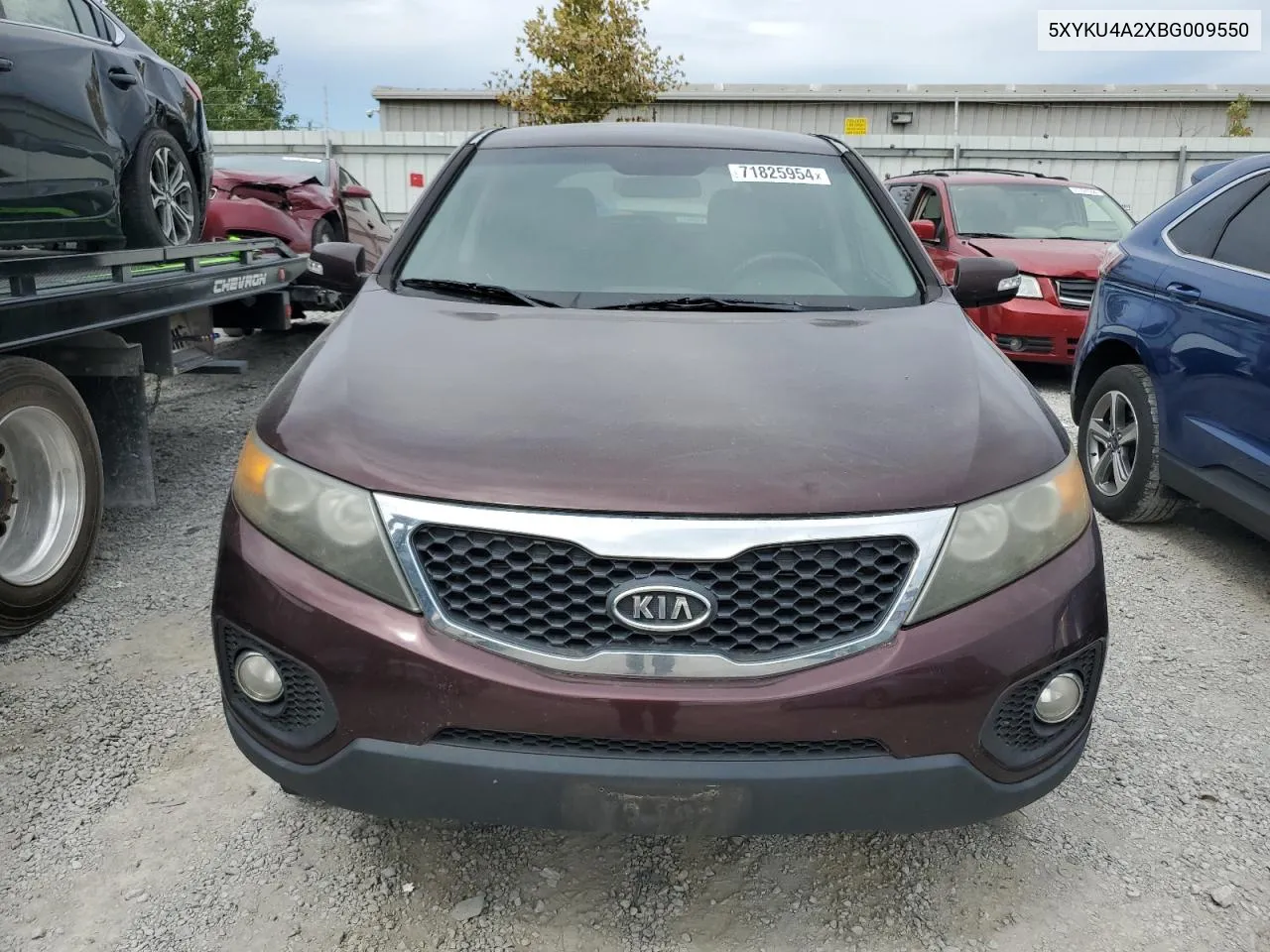 2011 Kia Sorento Ex VIN: 5XYKU4A2XBG009550 Lot: 71825954