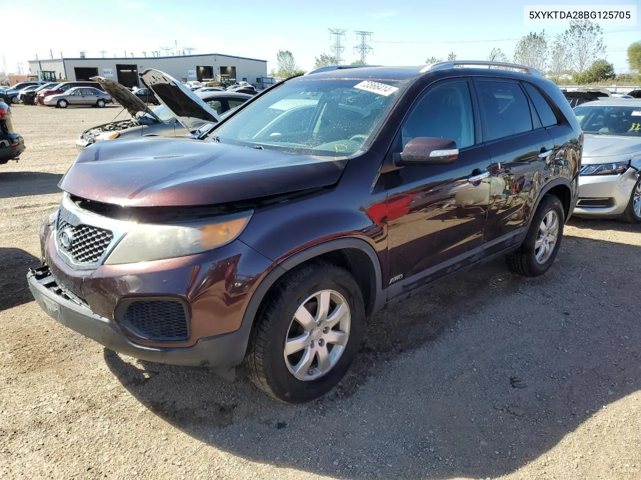 2011 Kia Sorento Base VIN: 5XYKTDA28BG125705 Lot: 73566414