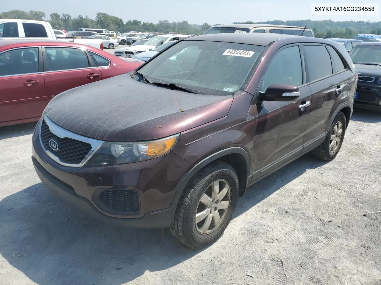 2012 Kia Sorento Base VIN: 5XYKT4A16CG234558 Lot: 64355043