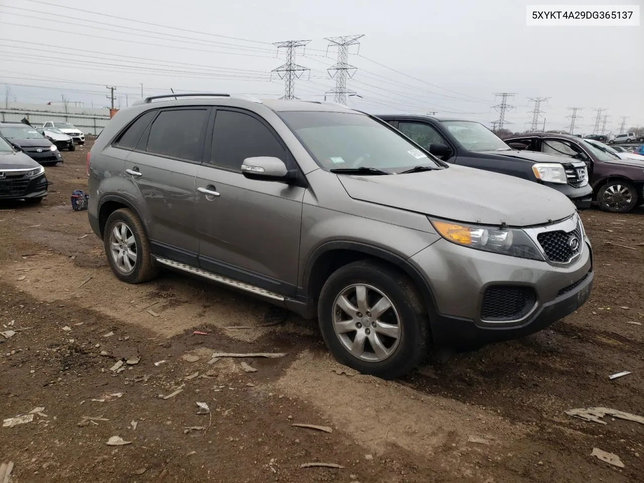 2013 Kia Sorento Lx VIN: 5XYKT4A29DG365137 Lot: 56326064