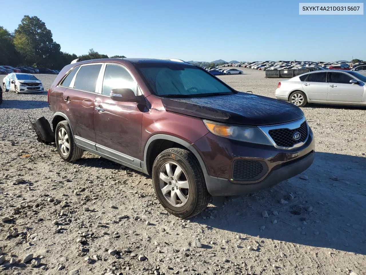 2013 Kia Sorento Lx VIN: 5XYKT4A21DG315607 Lot: 75297274