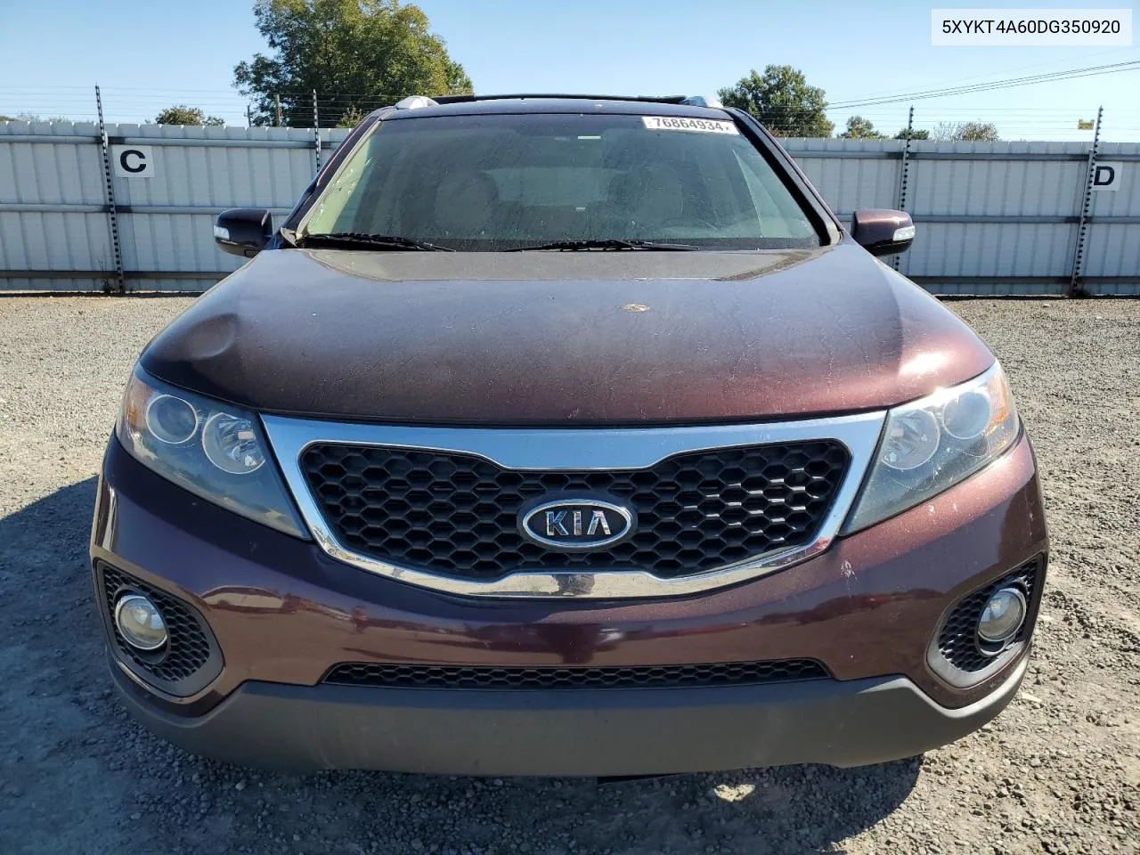 2013 Kia Sorento Lx VIN: 5XYKT4A60DG350920 Lot: 76864934