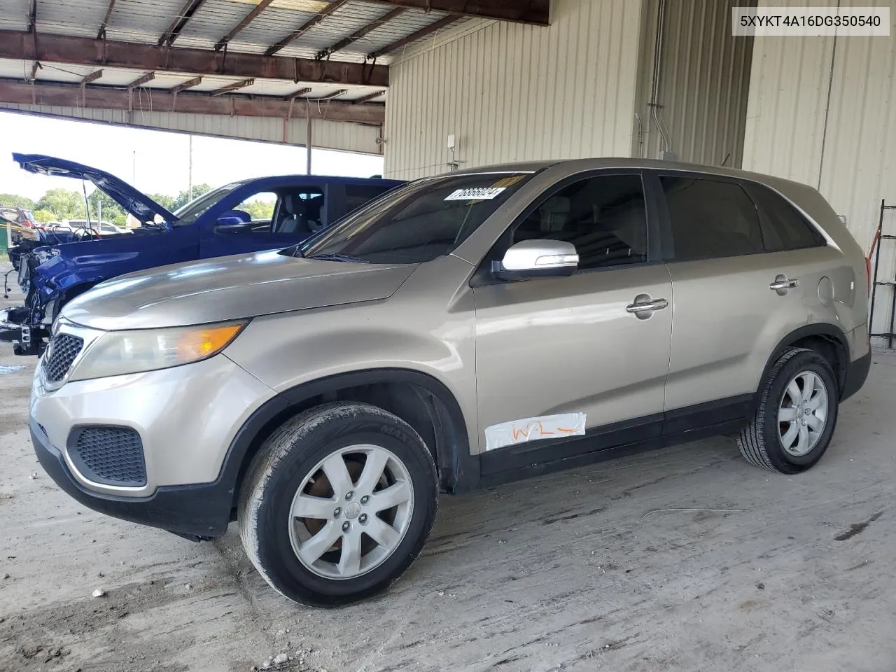 2013 Kia Sorento Lx VIN: 5XYKT4A16DG350540 Lot: 76866024