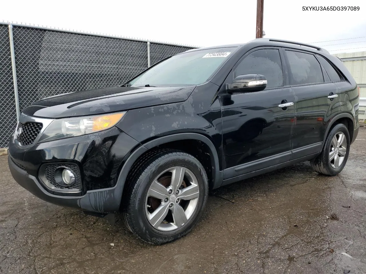 2013 Kia Sorento Ex VIN: 5XYKU3A65DG397089 Lot: 77343884