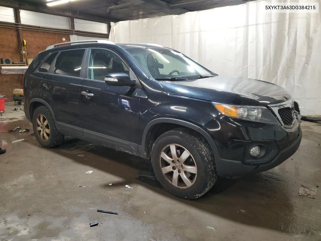 2013 Kia Sorento Lx VIN: 5XYKT3A63DG384215 Lot: 79024774