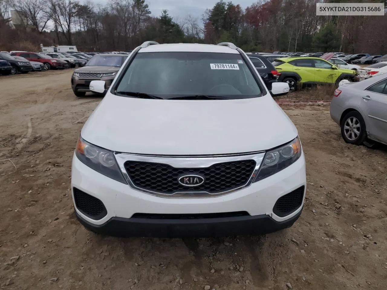 2013 Kia Sorento Lx VIN: 5XYKTDA21DG315686 Lot: 79781144