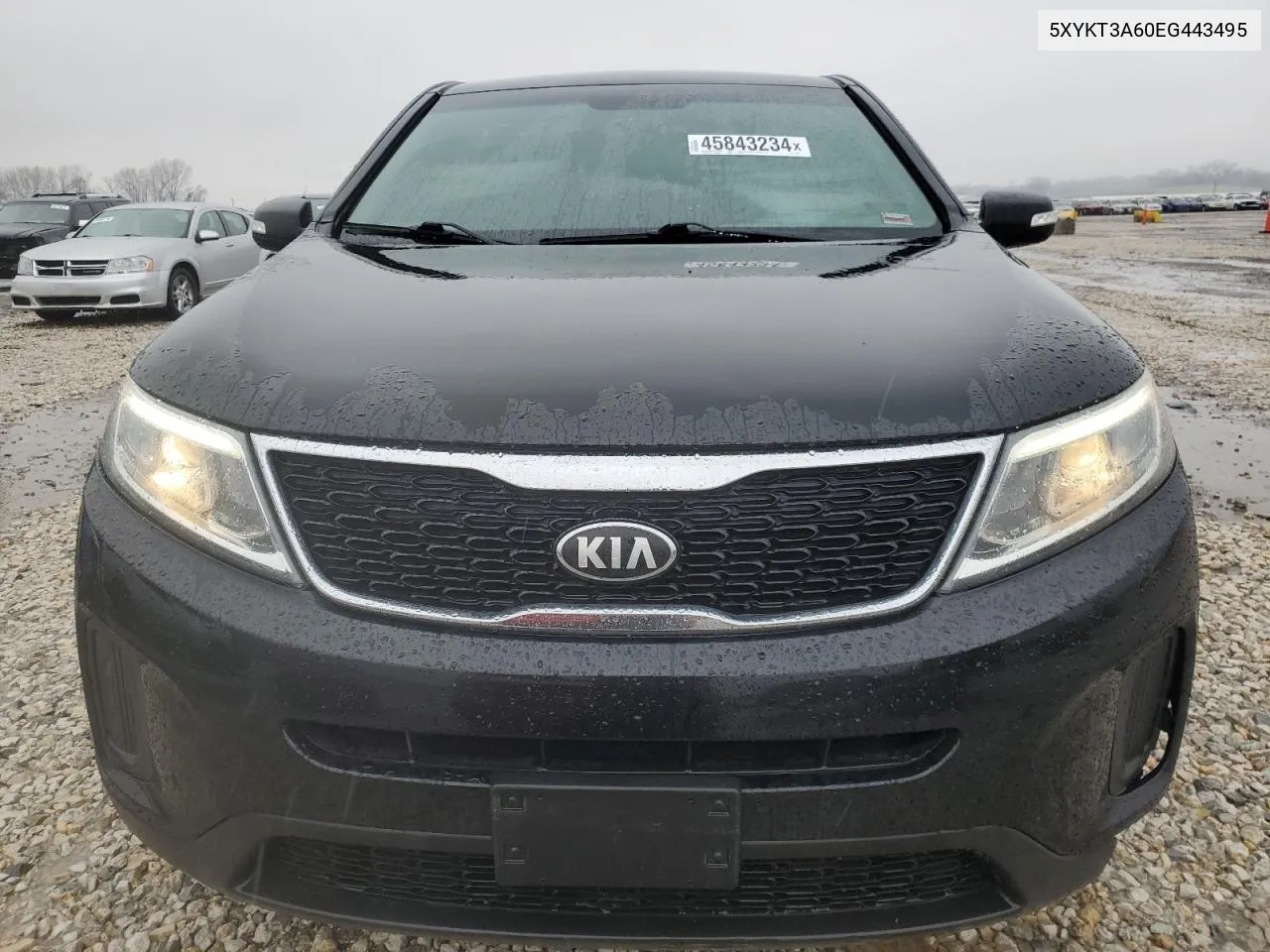 2014 Kia Sorento Lx VIN: 5XYKT3A60EG443495 Lot: 45843234