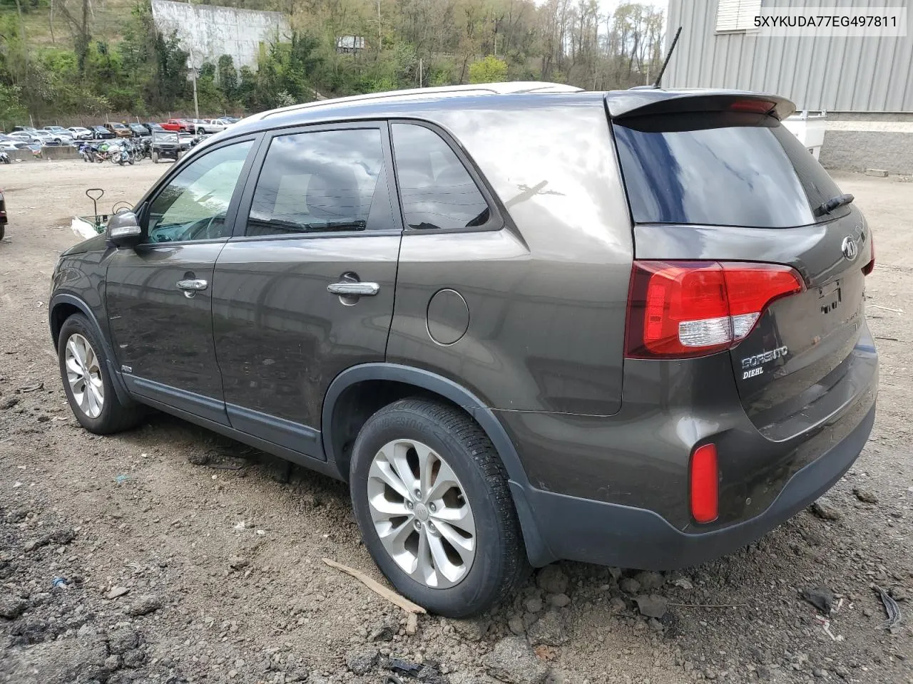 2014 Kia Sorento Ex VIN: 5XYKUDA77EG497811 Lot: 52123344