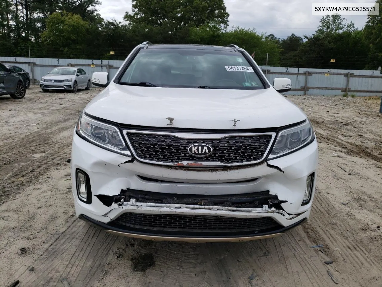 5XYKW4A79EG525571 2014 Kia Sorento Sx