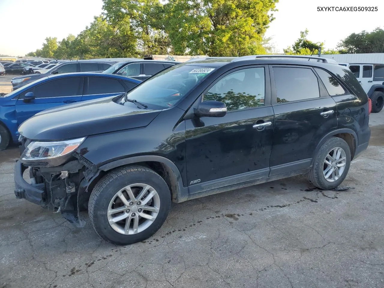 2014 Kia Sorento Lx VIN: 5XYKTCA6XEG509325 Lot: 60286924