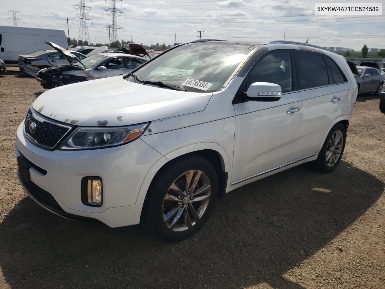 5XYKW4A71EG524589 2014 Kia Sorento Sx