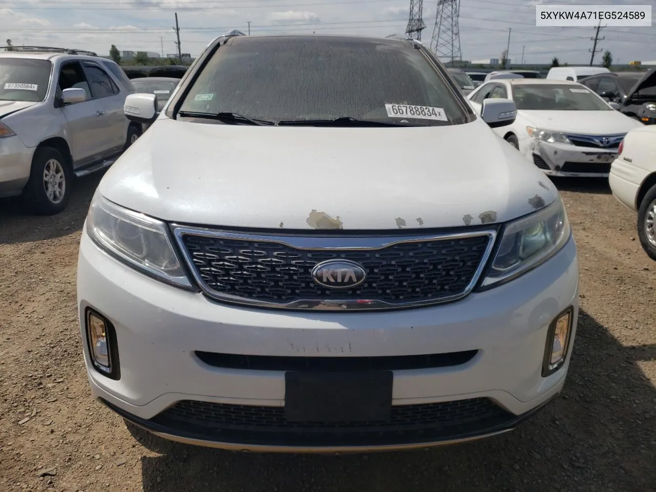 5XYKW4A71EG524589 2014 Kia Sorento Sx