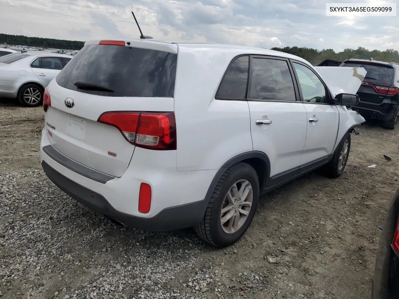 2014 Kia Sorento Lx VIN: 5XYKT3A65EG509099 Lot: 73132214