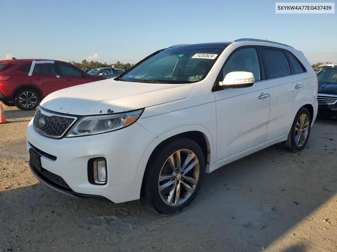 5XYKW4A77EG437439 2014 Kia Sorento Sx