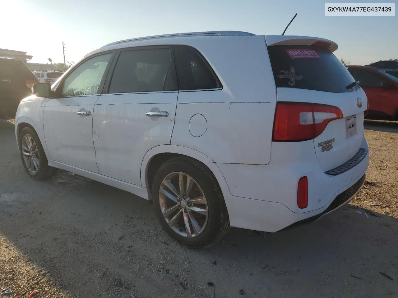 5XYKW4A77EG437439 2014 Kia Sorento Sx