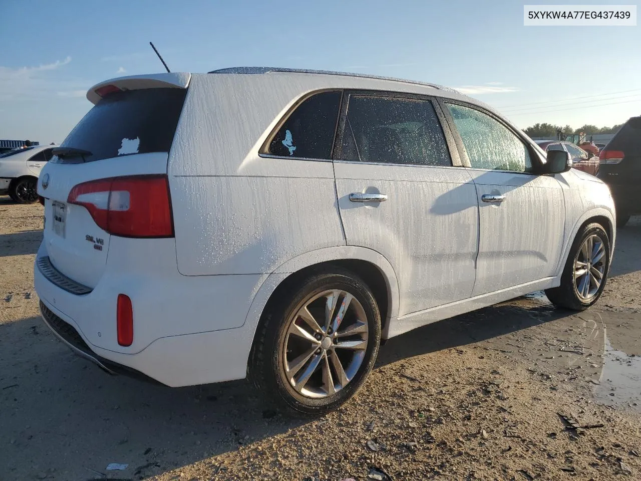 5XYKW4A77EG437439 2014 Kia Sorento Sx