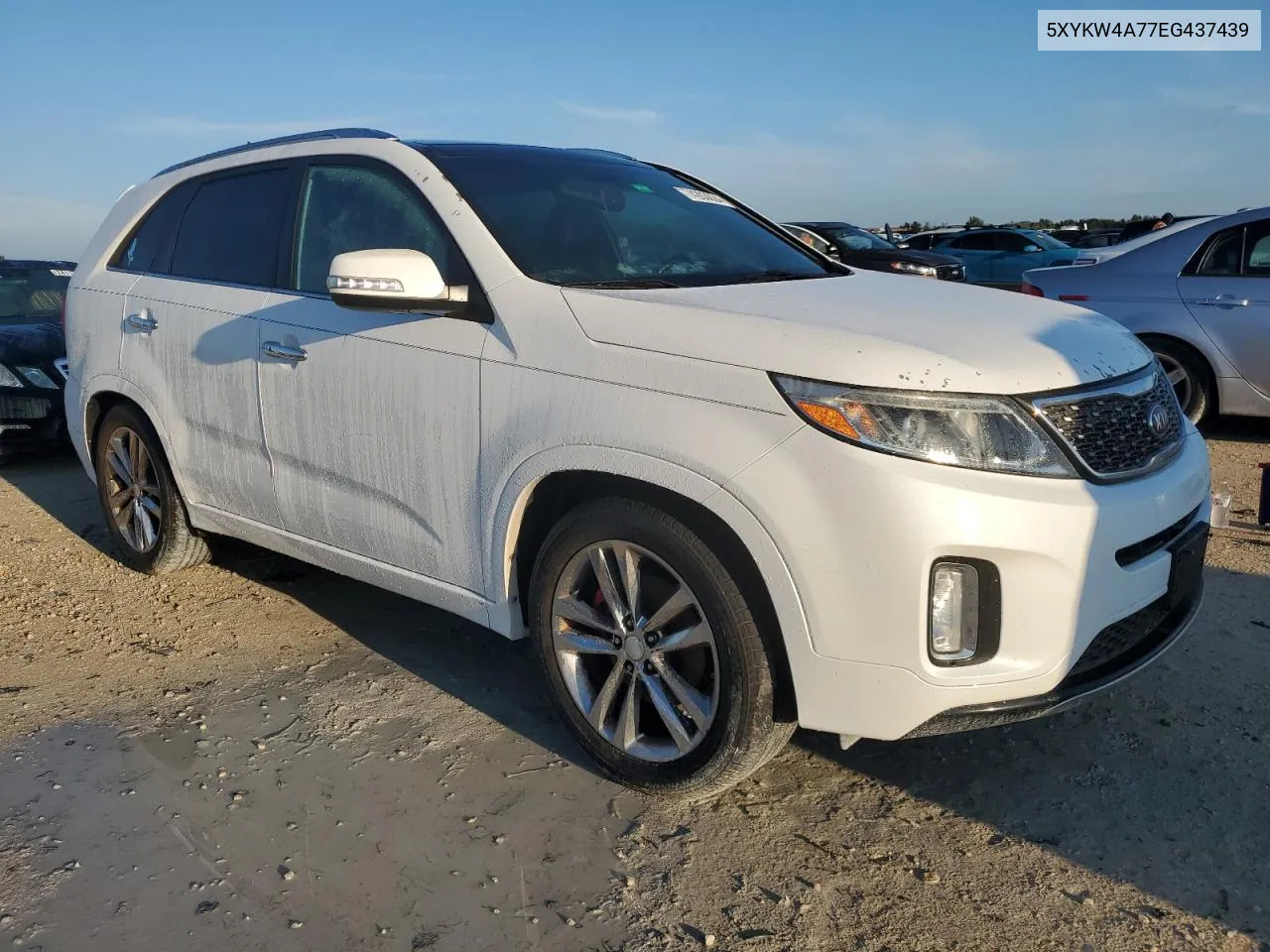 5XYKW4A77EG437439 2014 Kia Sorento Sx