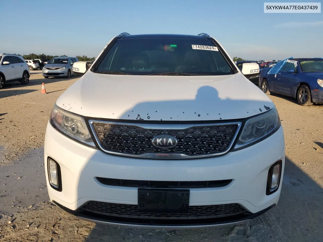 5XYKW4A77EG437439 2014 Kia Sorento Sx