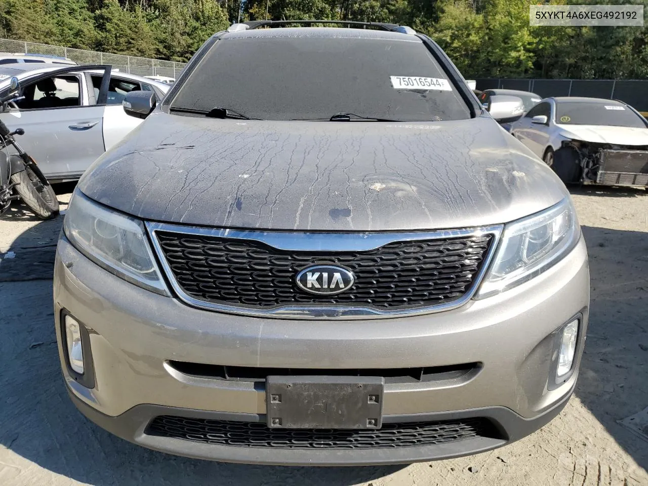 2014 Kia Sorento Lx VIN: 5XYKT4A6XEG492192 Lot: 75016544