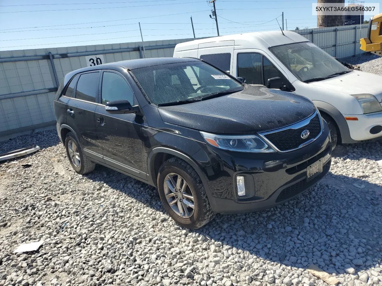 2014 Kia Sorento Lx VIN: 5XYKT3A66EG546307 Lot: 77337254