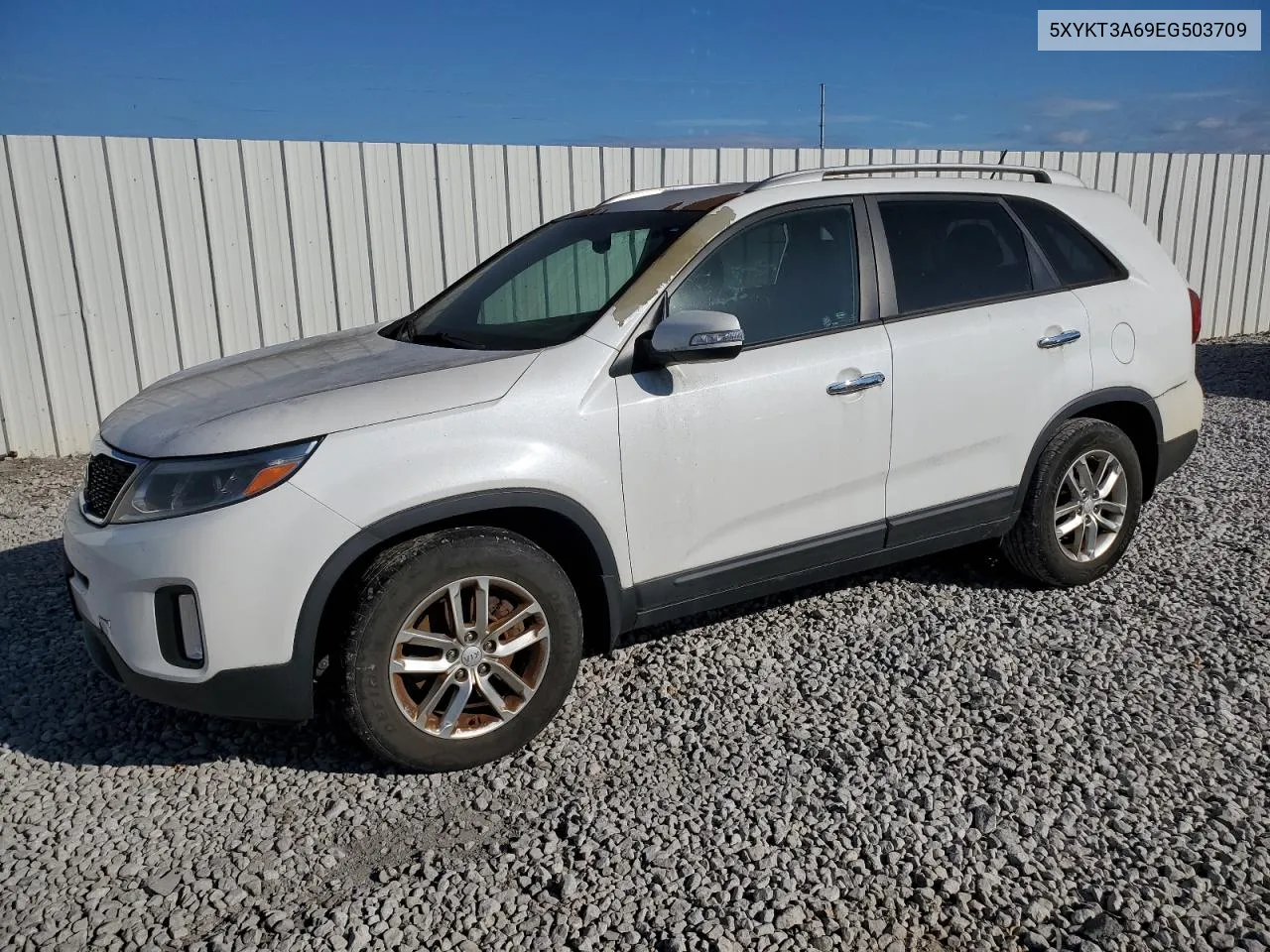 2014 Kia Sorento Lx VIN: 5XYKT3A69EG503709 Lot: 78384374