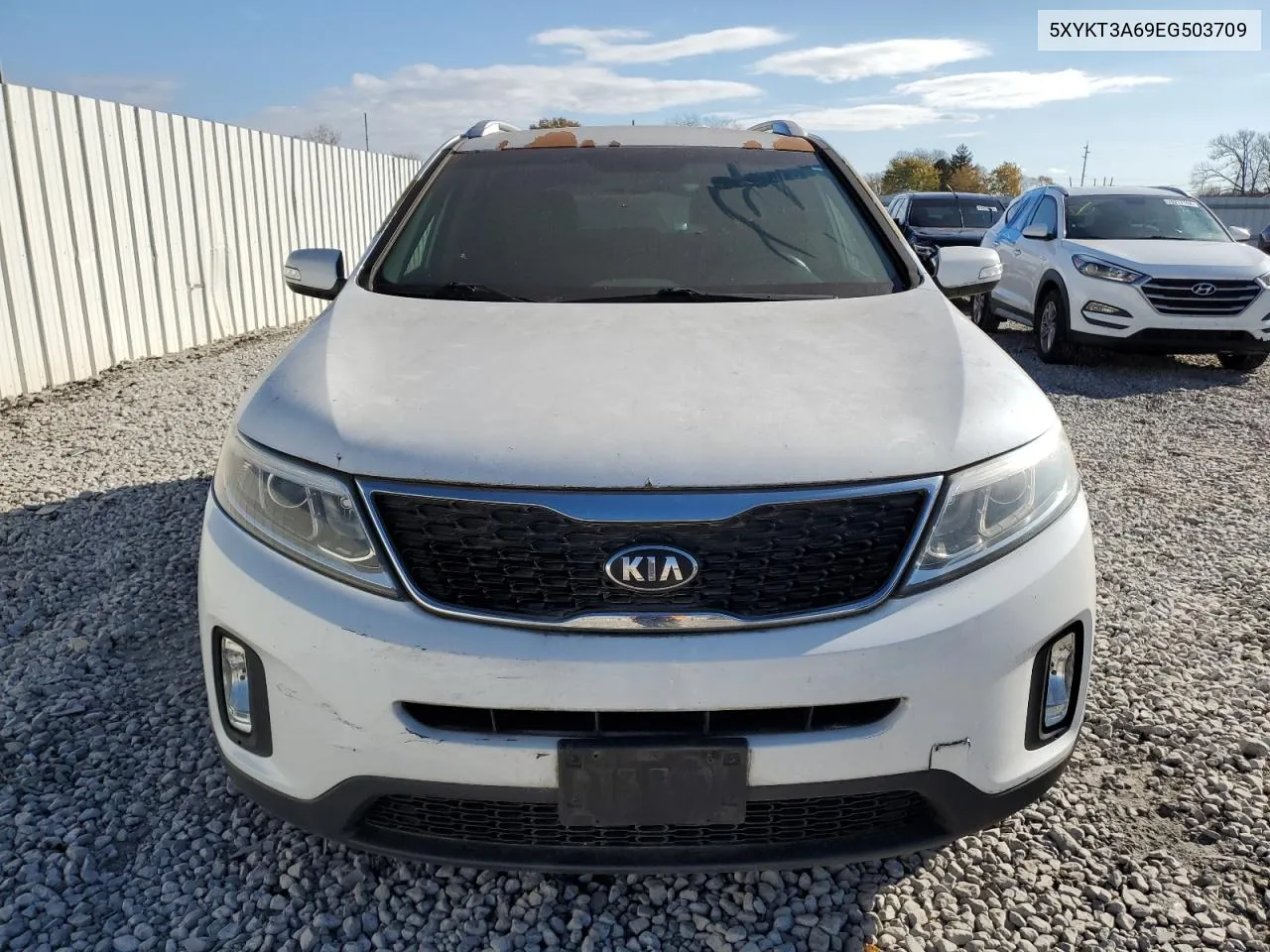 2014 Kia Sorento Lx VIN: 5XYKT3A69EG503709 Lot: 78384374