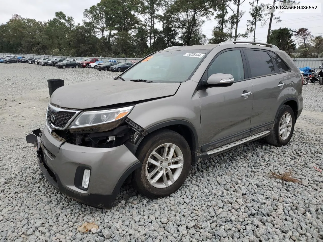 2014 Kia Sorento Lx VIN: 5XYKT3A66EG436552 Lot: 79208484