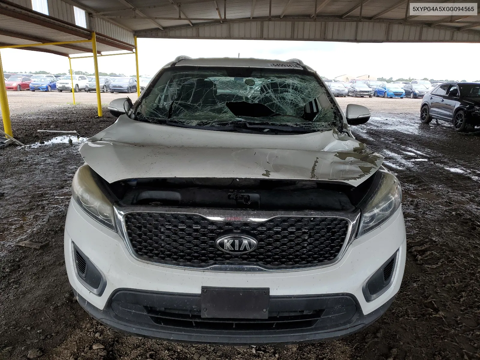 2016 Kia Sorento Lx VIN: 5XYPG4A5XGG094565 Lot: 64993414