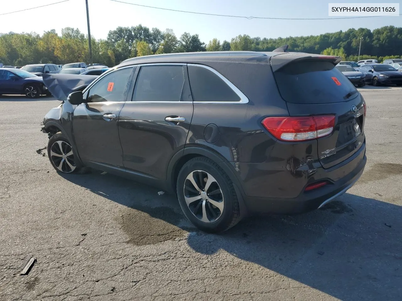 2016 Kia Sorento Ex VIN: 5XYPH4A14GG011626 Lot: 69049024