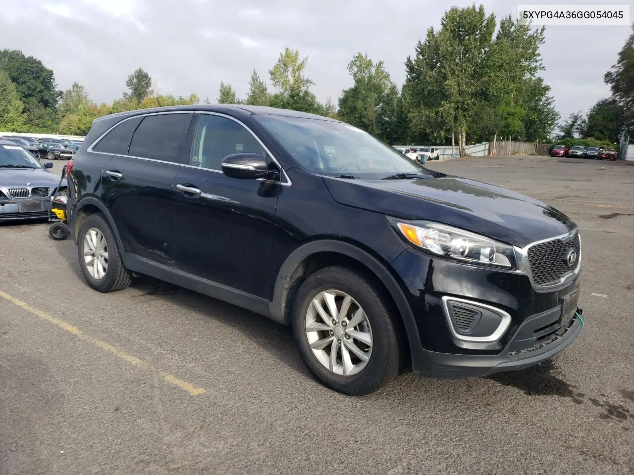 2016 Kia Sorento Lx VIN: 5XYPG4A36GG054045 Lot: 69682494