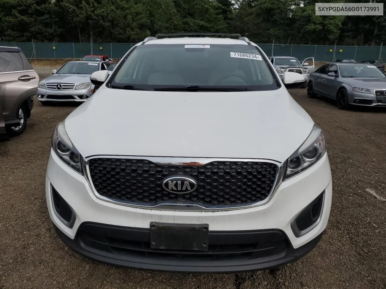 5XYPGDA56GG173991 2016 Kia Sorento Lx