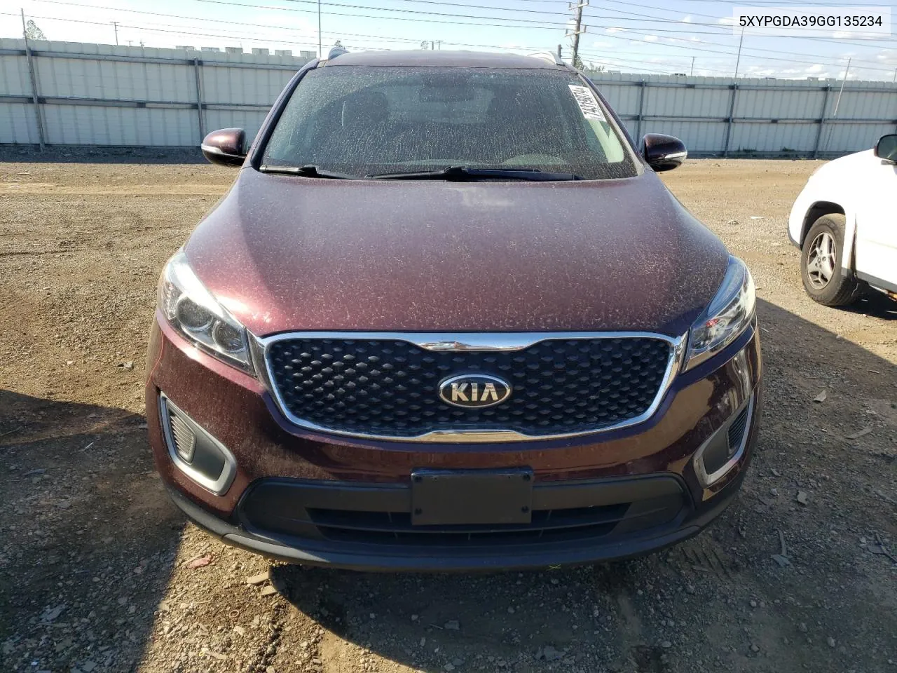 2016 Kia Sorento Lx VIN: 5XYPGDA39GG135234 Lot: 74319074