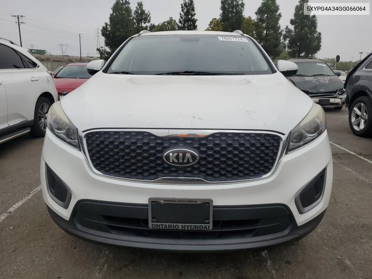 2016 Kia Sorento Lx VIN: 5XYPG4A34GG066064 Lot: 76061724