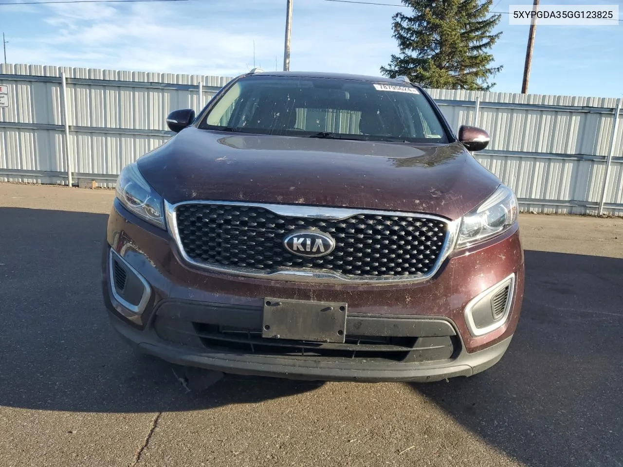 2016 Kia Sorento Lx VIN: 5XYPGDA35GG123825 Lot: 78795624