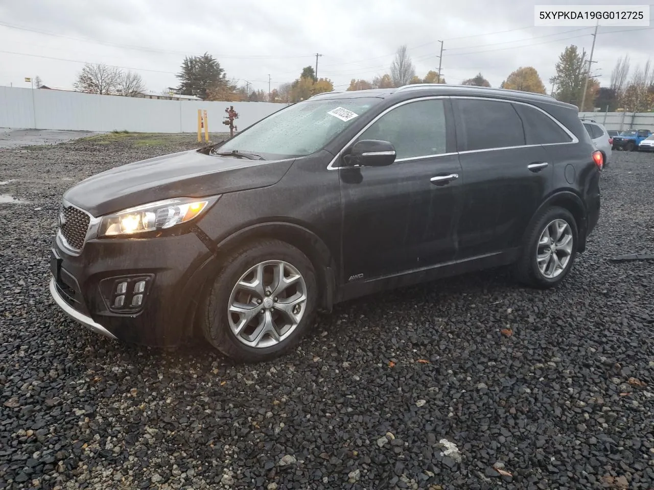 2016 Kia Sorento Sx VIN: 5XYPKDA19GG012725 Lot: 80313254