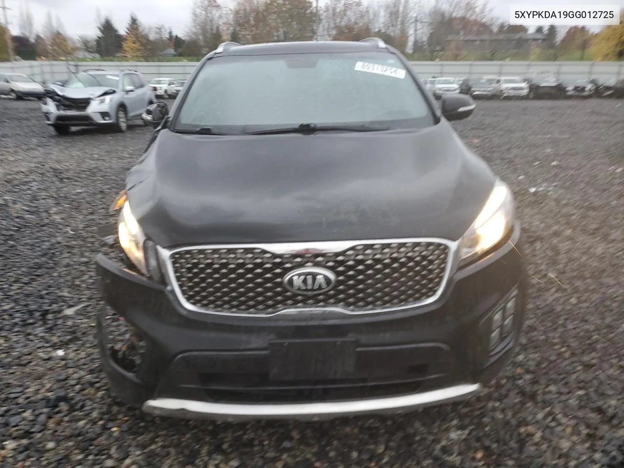 2016 Kia Sorento Sx VIN: 5XYPKDA19GG012725 Lot: 80313254