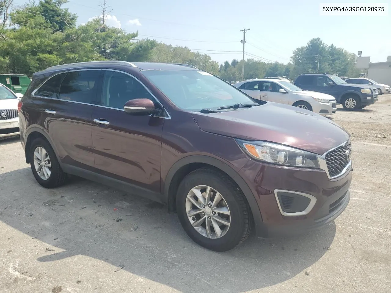 5XYPG4A39GG120975 2017 Kia Sorento Lx