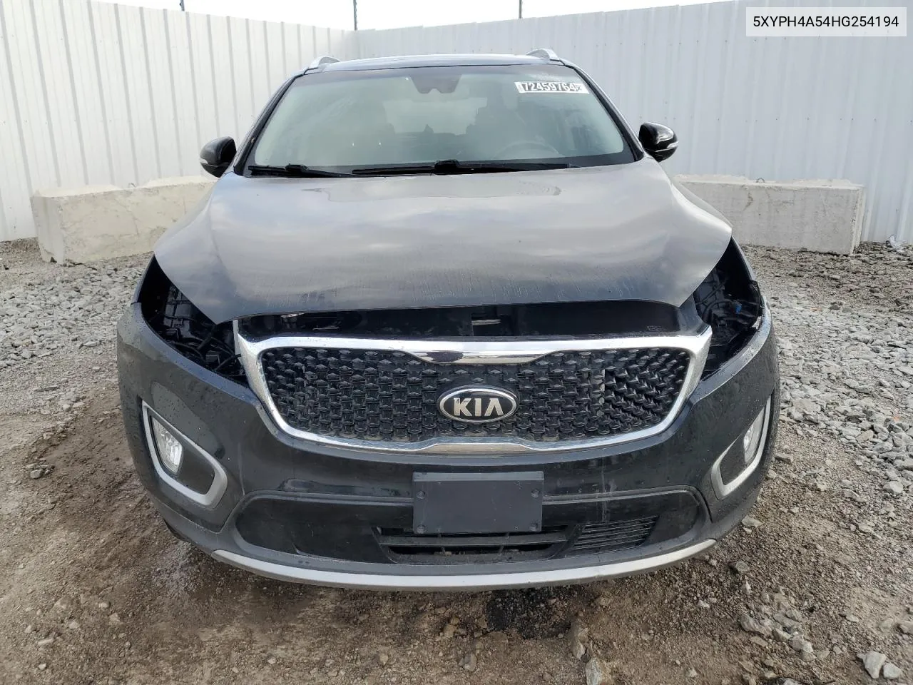 2017 Kia Sorento Ex VIN: 5XYPH4A54HG254194 Lot: 72459764