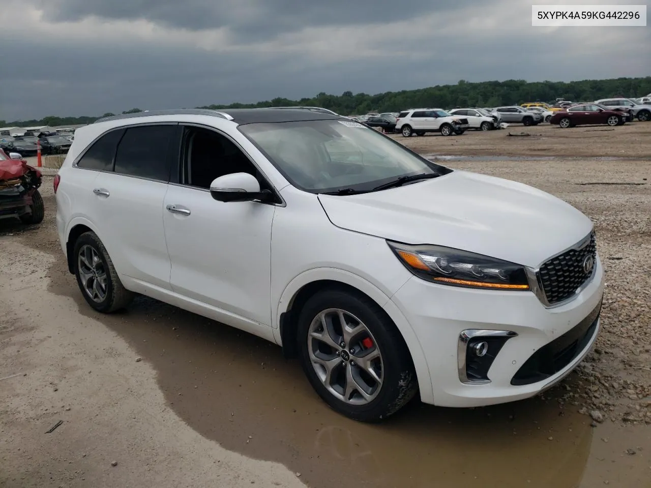 2019 Kia Sorento Sx VIN: 5XYPK4A59KG442296 Lot: 55302434